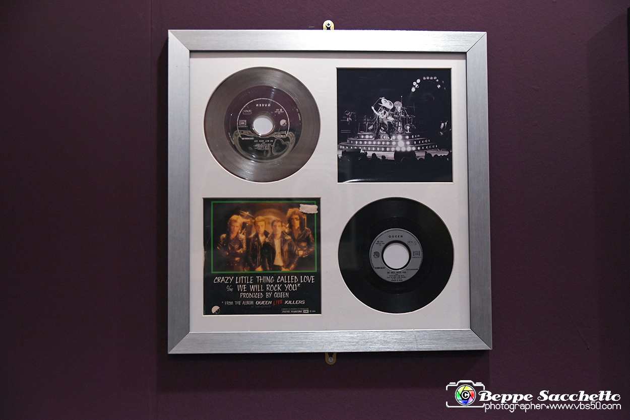 VBS_1673 - Mostra Peter Hince - Queen Experience.jpg